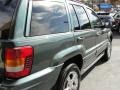 Onyx Green Pearlcoat - Grand Cherokee Overland 4x4 Photo No. 9