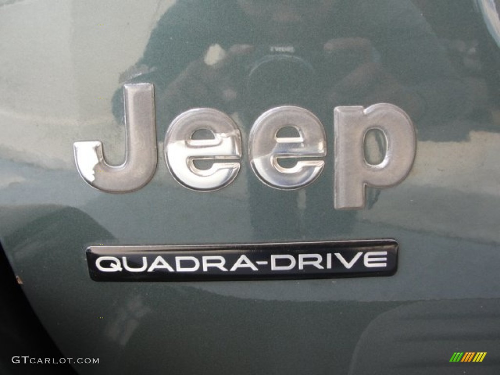 2003 Grand Cherokee Overland 4x4 - Onyx Green Pearlcoat / Dark Slate Gray/Light Slate Gray photo #11