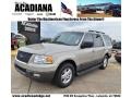 Pueblo Gold Metallic 2005 Ford Expedition XLT