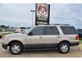 Pueblo Gold Metallic - Expedition XLT Photo No. 2