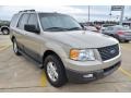 Pueblo Gold Metallic - Expedition XLT Photo No. 8