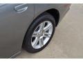 Tungsten Metallic - Charger Rallye Photo No. 12
