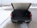 Desert Sand Mica - Tacoma PreRunner TRD Access Cab Photo No. 5