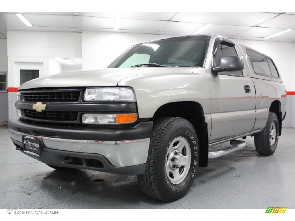 2002 Silverado 1500 LS Regular Cab 4x4 - Light Pewter Metallic / Graphite Gray photo #9