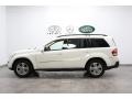 Arctic White - GL 450 4Matic Photo No. 2