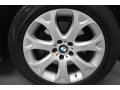 Alpine White - X5 4.8i Photo No. 9