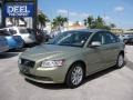 Gecko Green Metallic - S40 2.4i Photo No. 1