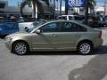 Gecko Green Metallic - S40 2.4i Photo No. 2