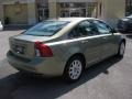 Gecko Green Metallic - S40 2.4i Photo No. 5
