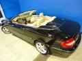 Black - CLK 350 Cabriolet Photo No. 36