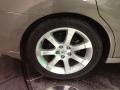 Pebble Beach Metallic - Maxima 3.5 SE Photo No. 4