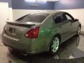 Pebble Beach Metallic - Maxima 3.5 SE Photo No. 5