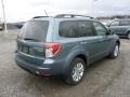 2012 Sage Green Metallic Subaru Forester 2.5 X Premium  photo #7