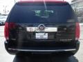 Blue Chip - Escalade  Photo No. 9