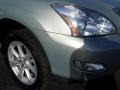 2009 Bamboo Pearl Lexus RX 350  photo #2