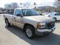 2006 Sand Beige Metallic GMC Sierra 1500 Regular Cab 4x4  photo #6