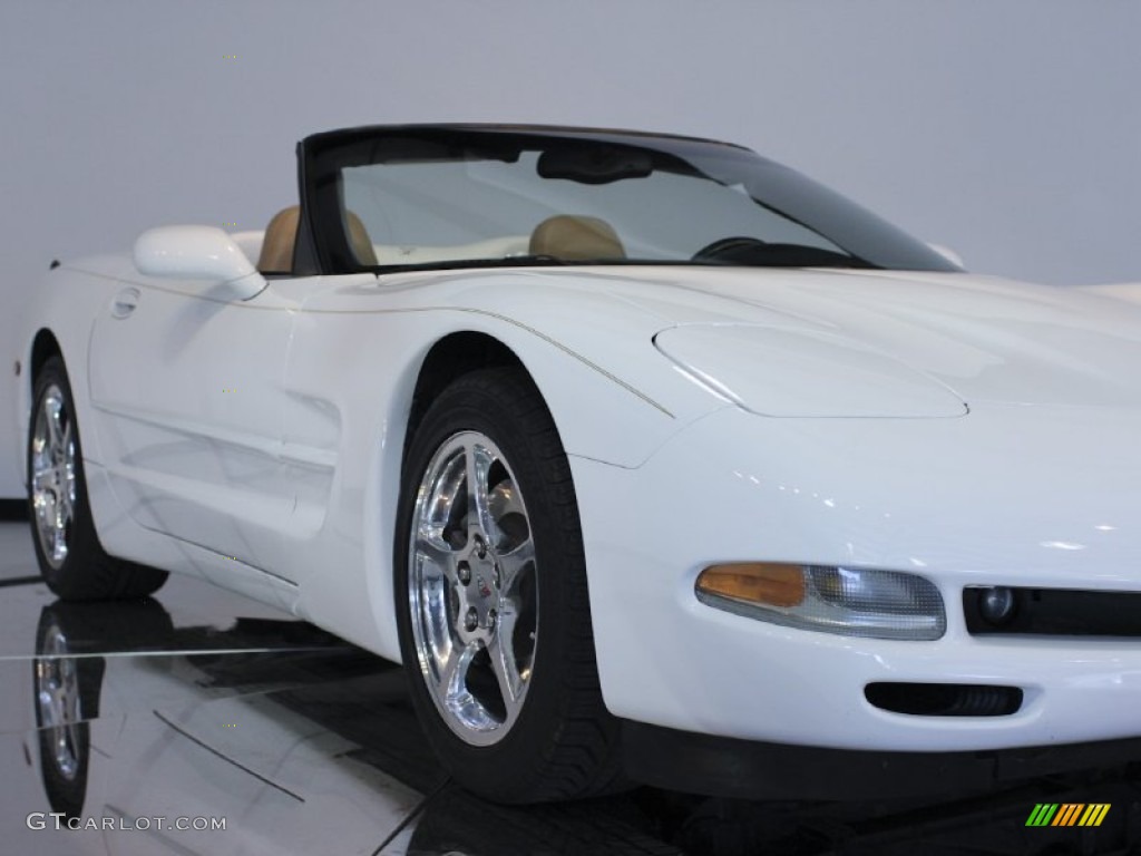 2004 Corvette Convertible - Arctic White / Light Oak photo #13