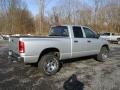 2004 Bright Silver Metallic Dodge Ram 1500 SLT Quad Cab 4x4  photo #12