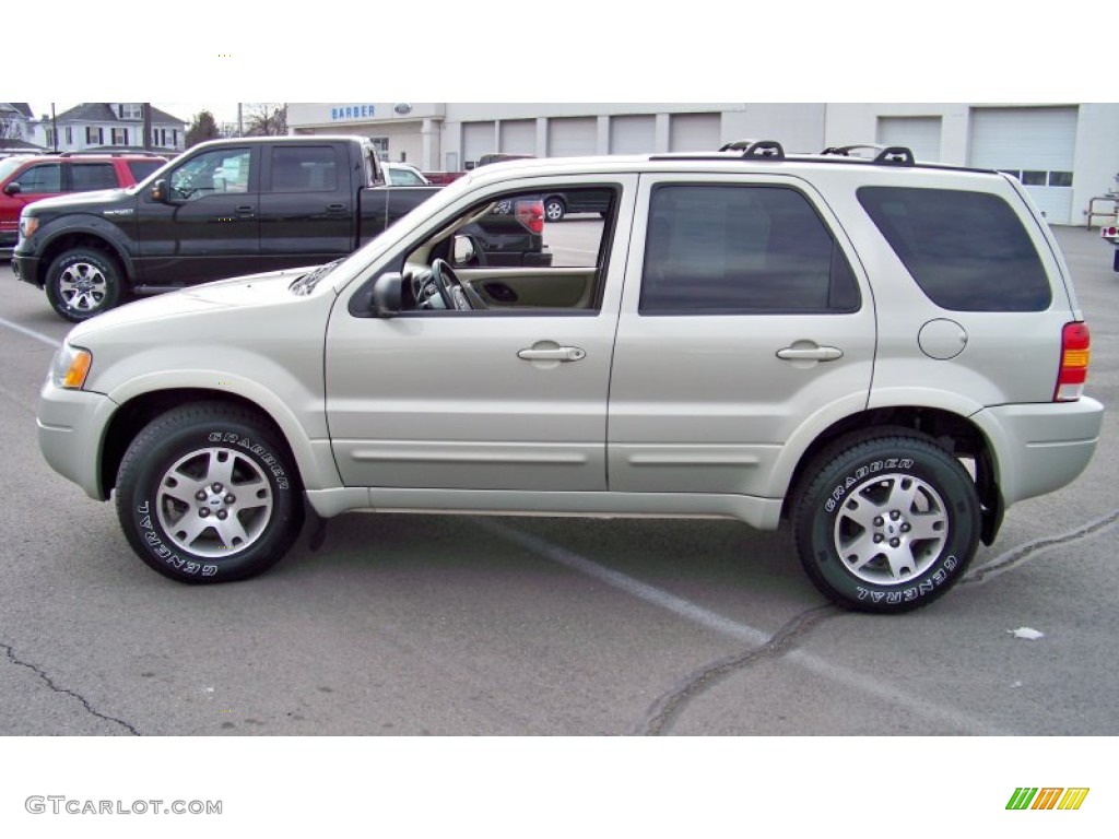 2003 Escape Limited 4WD - Gold Ash Metallic / Medium Dark Pebble photo #8