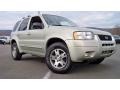 2003 Gold Ash Metallic Ford Escape Limited 4WD  photo #26