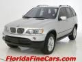 2003 Titanium Silver Metallic BMW X5 4.4i  photo #1