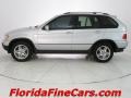 2003 Titanium Silver Metallic BMW X5 4.4i  photo #3