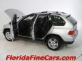 2003 Titanium Silver Metallic BMW X5 4.4i  photo #8