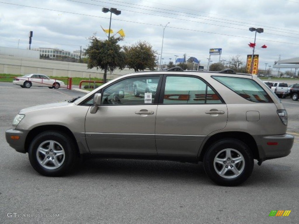 2001 RX 300 - Burnished Gold Metallic / Ivory photo #4
