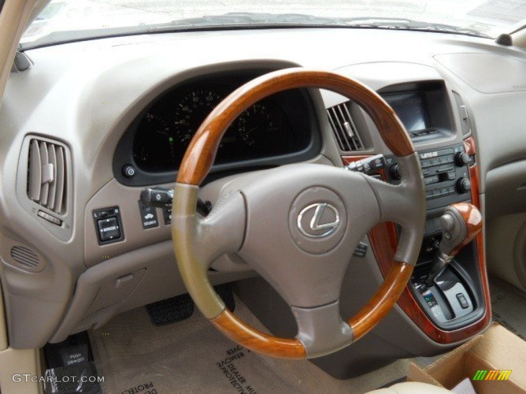 2001 RX 300 - Burnished Gold Metallic / Ivory photo #12