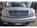 Quicksilver - Escalade AWD Photo No. 2