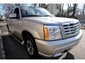 Quicksilver - Escalade AWD Photo No. 4