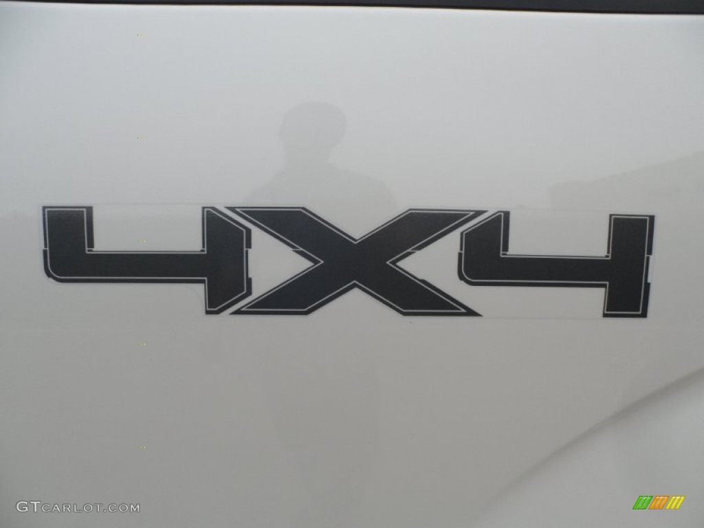 2010 Ford F150 Platinum SuperCrew 4x4 Marks and Logos Photo #61565217