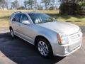 Light Platinum - SRX V6 Photo No. 5