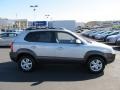 Platinum Silver - Tucson SE 4WD Photo No. 2