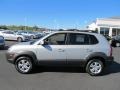 Platinum Silver - Tucson SE 4WD Photo No. 7