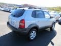 Platinum Silver - Tucson SE 4WD Photo No. 10