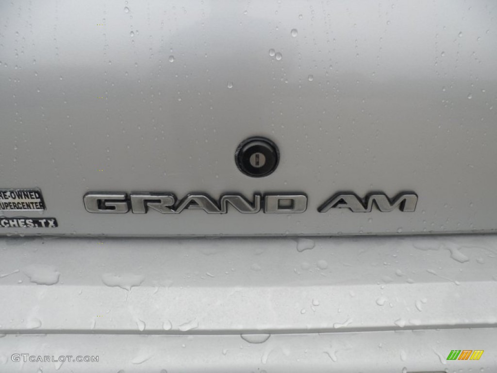 2002 Grand Am SE Sedan - Galaxy Silver Metallic / Dark Pewter photo #16
