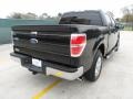 Tuxedo Black Metallic - F150 XLT SuperCrew Photo No. 3