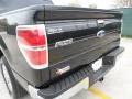 Tuxedo Black Metallic - F150 XLT SuperCrew Photo No. 20