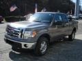 Sterling Gray Metallic - F150 XLT SuperCab 4x4 Photo No. 4