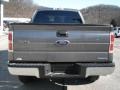 Sterling Gray Metallic - F150 XLT SuperCab 4x4 Photo No. 7