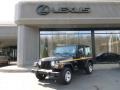 2003 Black Clearcoat Jeep Wrangler X 4x4  photo #1