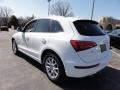 2009 Ibis White Audi Q5 3.2 Premium quattro  photo #10