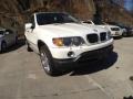 Alpine White - X5 3.0i Photo No. 3