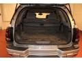 Silverstone Metallic - TrailBlazer LS 4x4 Photo No. 16