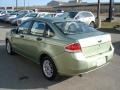 Kiwi Green - Focus SE Sedan Photo No. 6