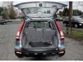 2009 Glacier Blue Metallic Honda CR-V LX 4WD  photo #8