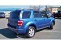 2010 Sport Blue Metallic Ford Escape XLT V6 4WD  photo #5