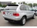 Titanium Silver Metallic - X5 3.0i Photo No. 5
