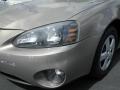 Bronzestone Metallic - Grand Prix Sedan Photo No. 5